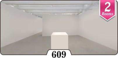 سالن نمایشگاه شماره 609