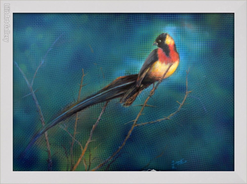 تابلو نقاشی پرنده بهشتی