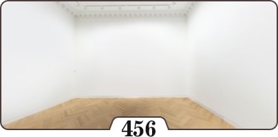 سالن نمایشگاه شماره 456