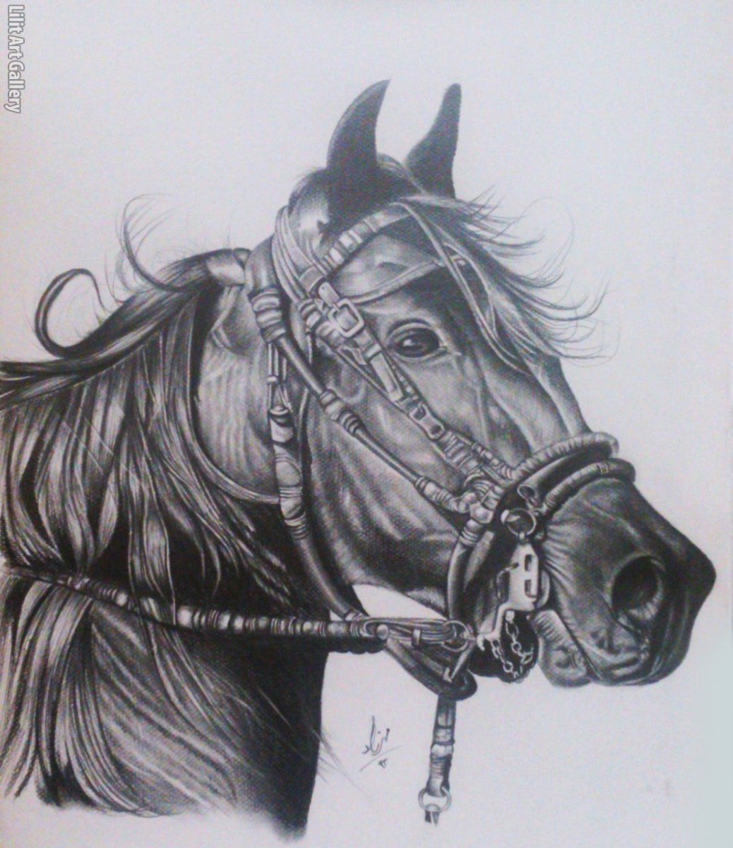 تابلو نقاشی اسب 3